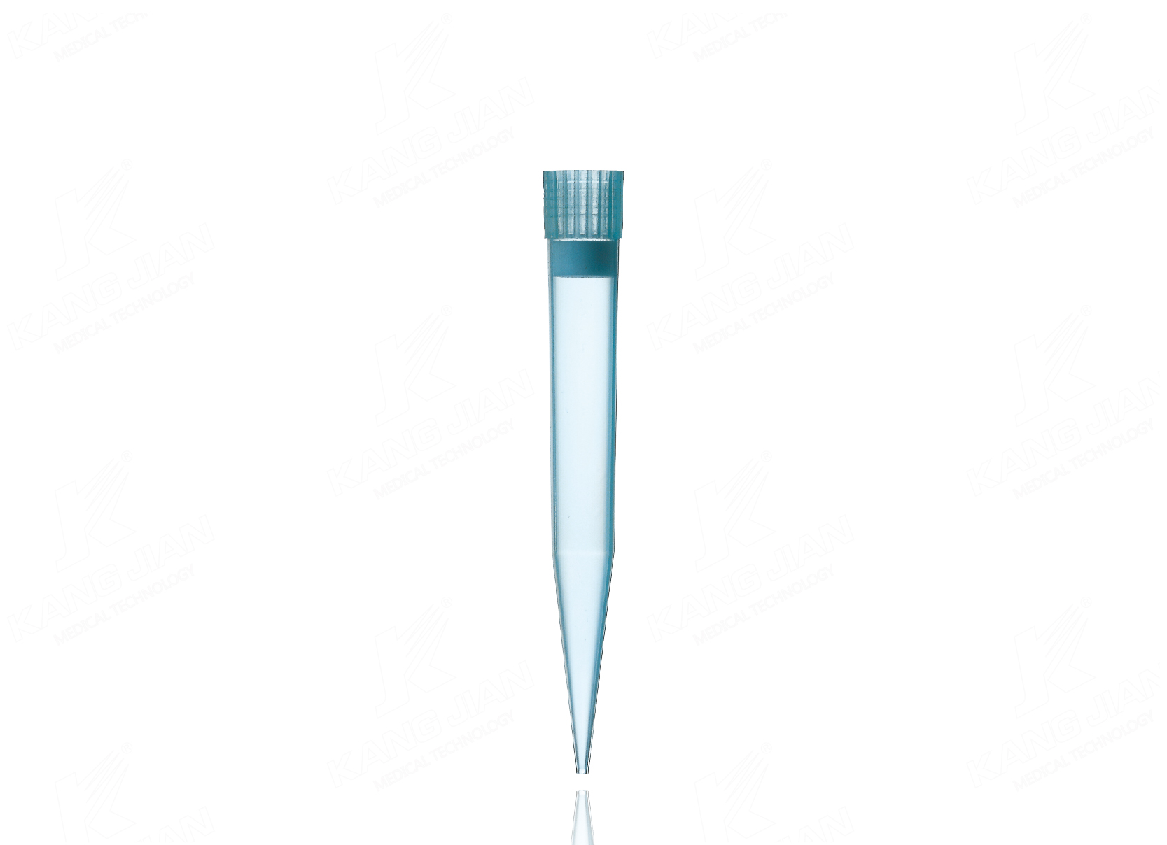 Pointe de pipette 1000&mu;l