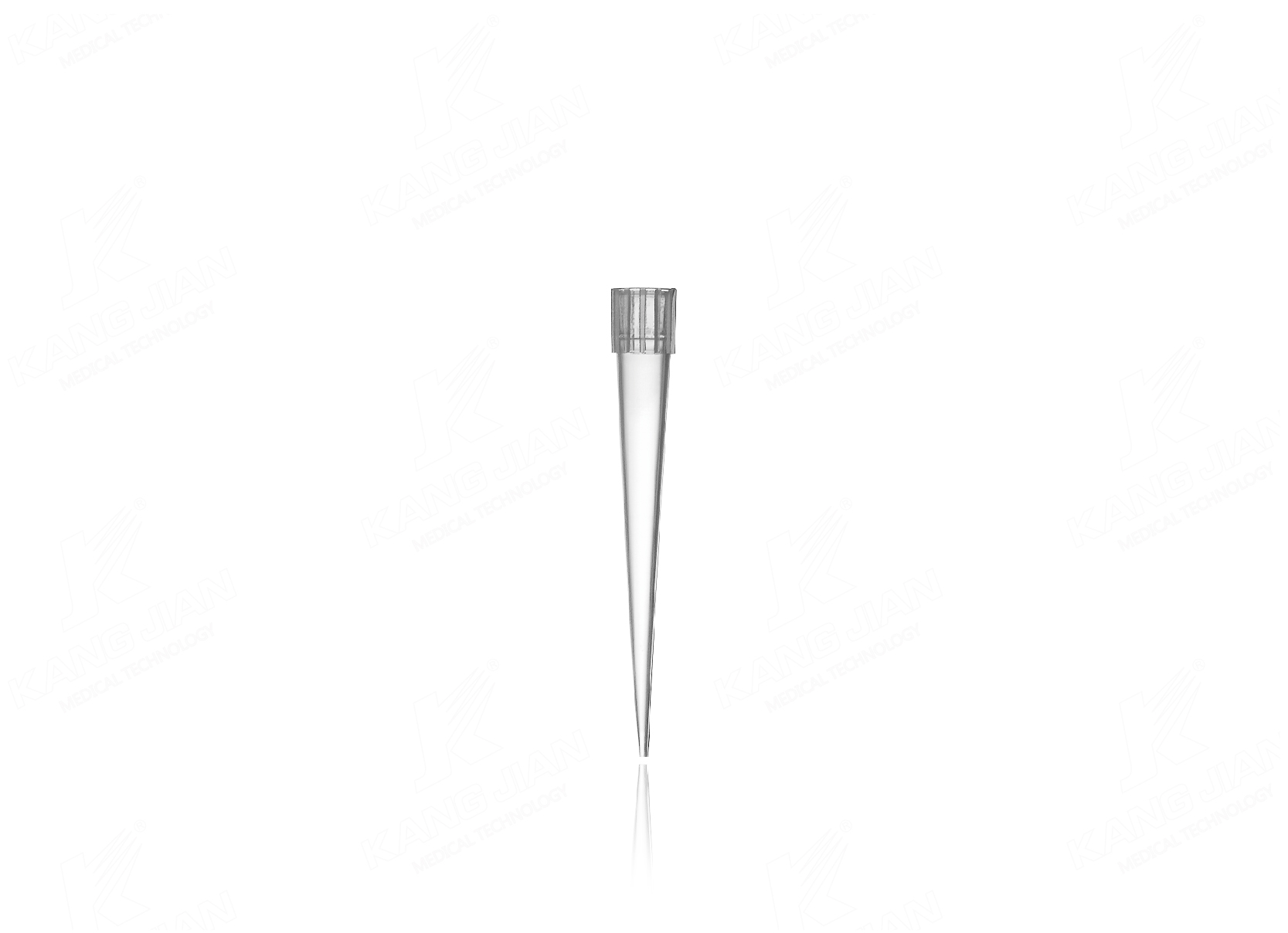 Pointe de pipette 250&mu;L