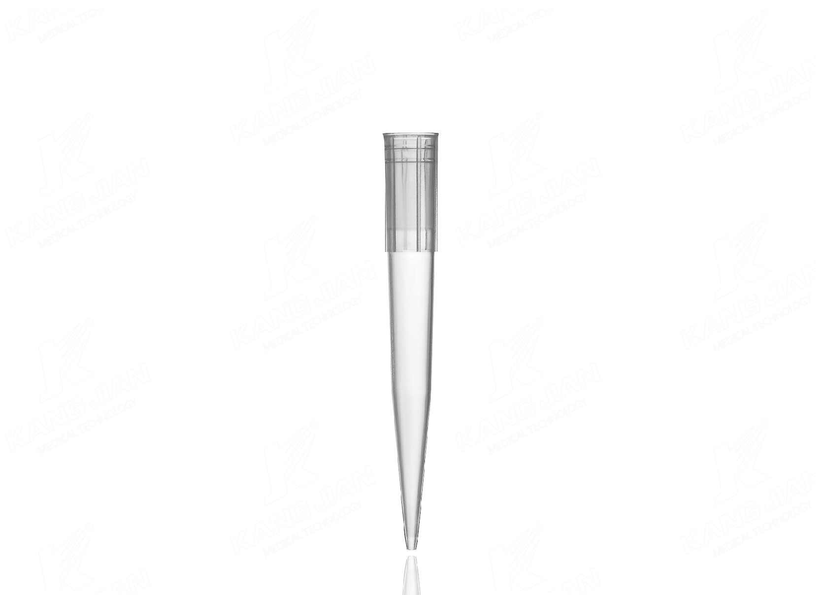 Pointe de pipette 1000&mu;l