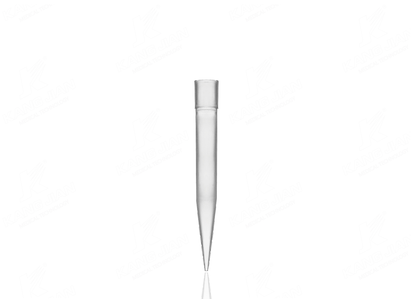Pointe de pipette 1000&mu;l