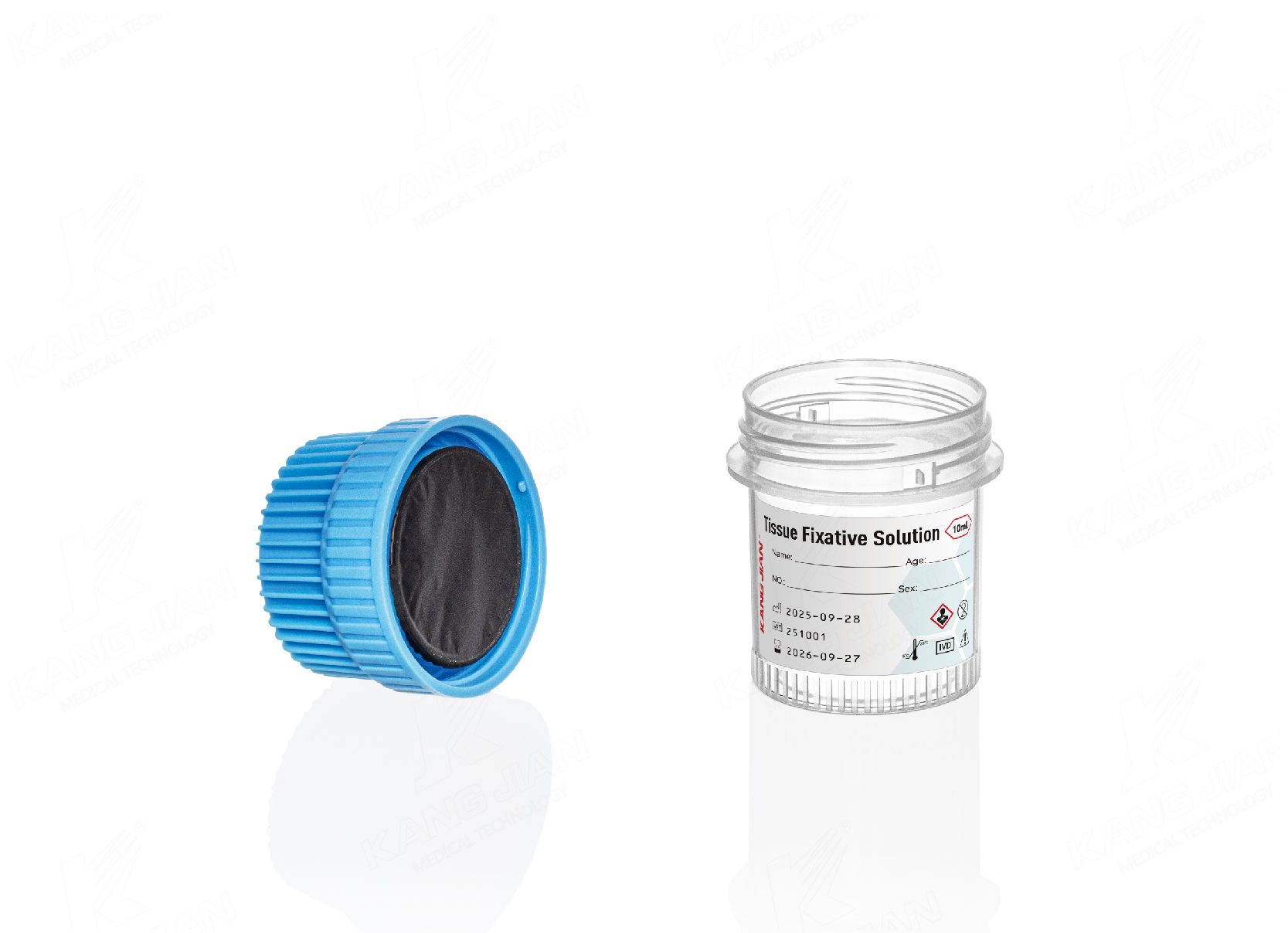 Coupe d'&eacute;chantillon de tissu de biopsie
