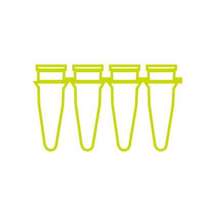 Tube PCR